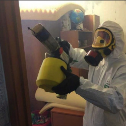 Уничтожение клопов в квартире. Тёплый Стан 